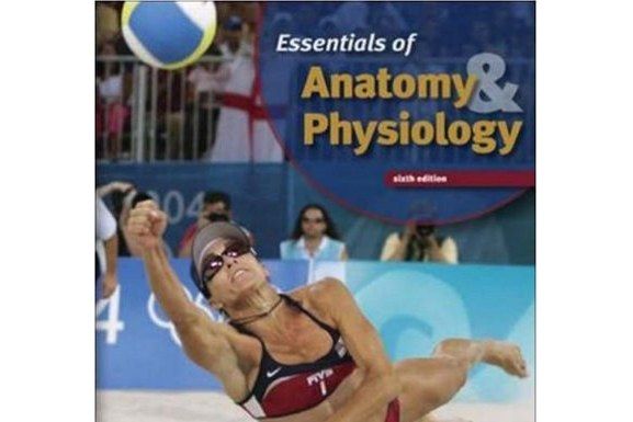 Essentials of Anatomy and Physiology Essentials of Anatomy and Physiology