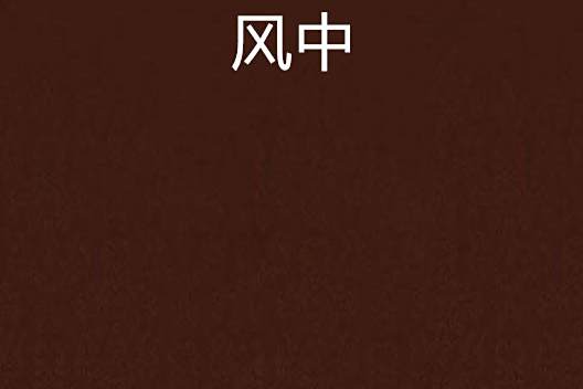 風中(零點計畫所著小說)