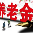 養老金(養老保險待遇)
