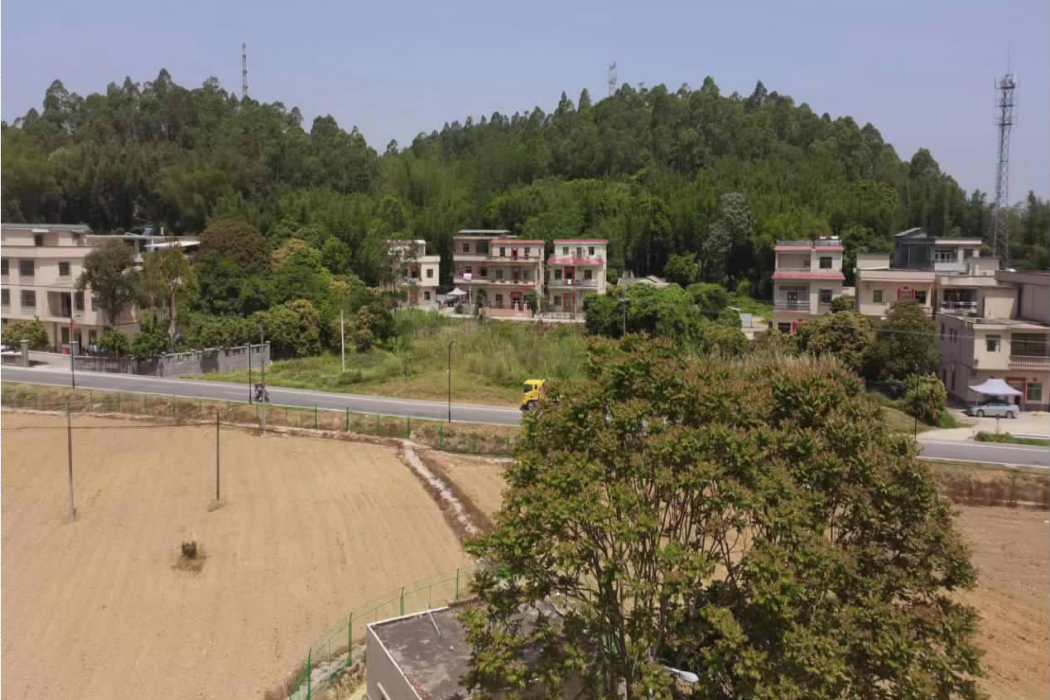 坑頭村(廣州市黃埔區新龍鎮麥村村下屬自然村) 坑頭村(廣州市黃埔區新龍鎮麥村村下屬自然村)