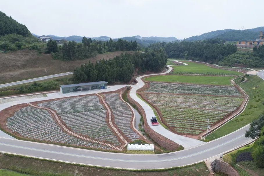 龍高路 龍高路