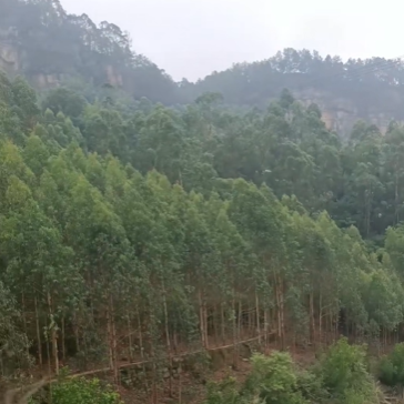 雙河水庫