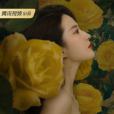 玫瑰故事(2023年汪俊執導的電視劇)
