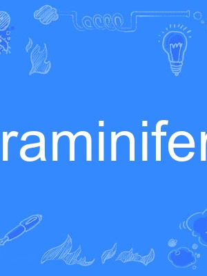 foraminiferan foraminiferan