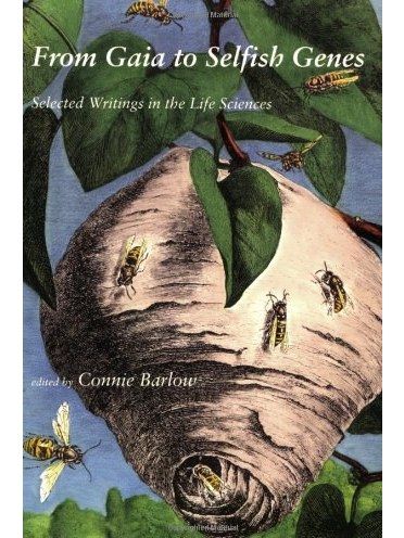 From Gaia to Selfish Genes From Gaia to Selfish Genes