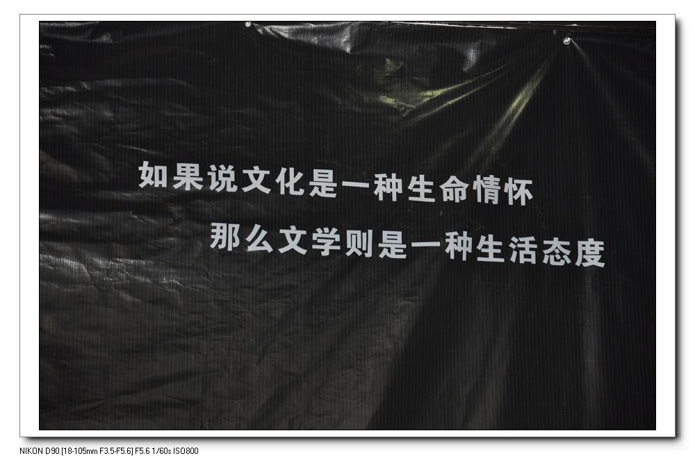 南充文學 南充文學