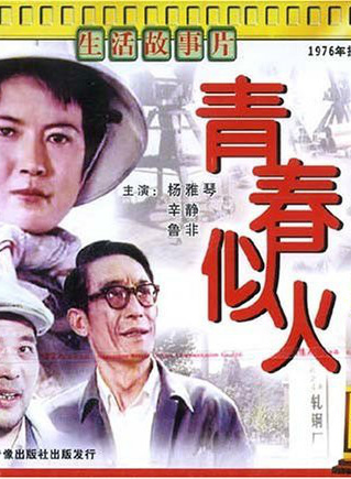 趙奎娥 趙奎娥