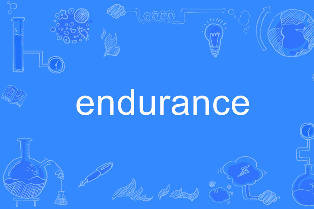 endurance endurance