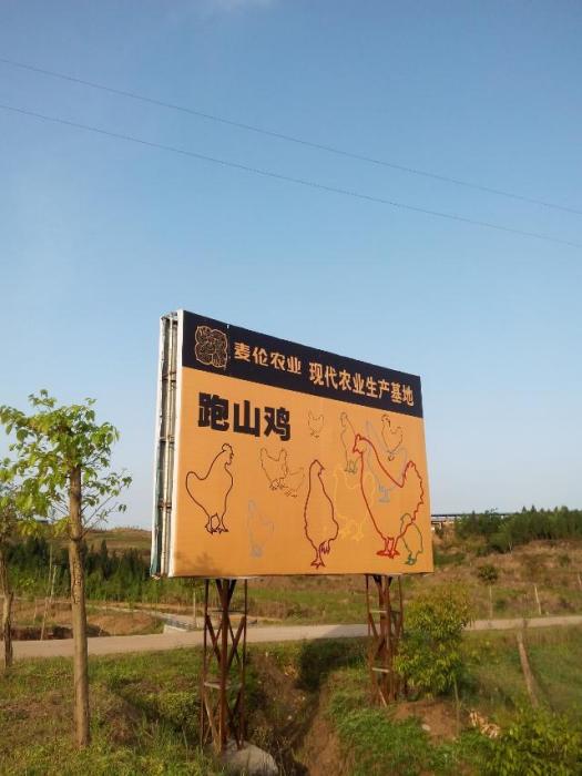 石壩子村(四川省蓬安縣東南部的村莊) 石壩子村(四川省蓬安縣東南部的村莊)