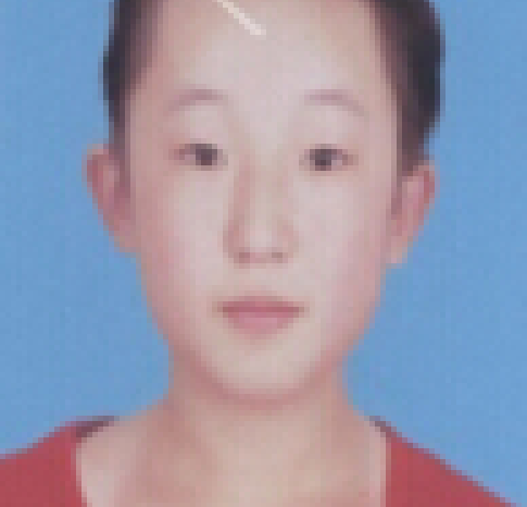 崔賀敏