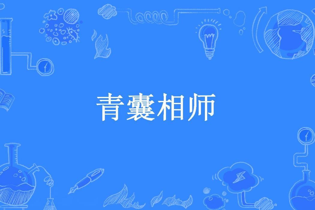 青囊相師 青囊相師