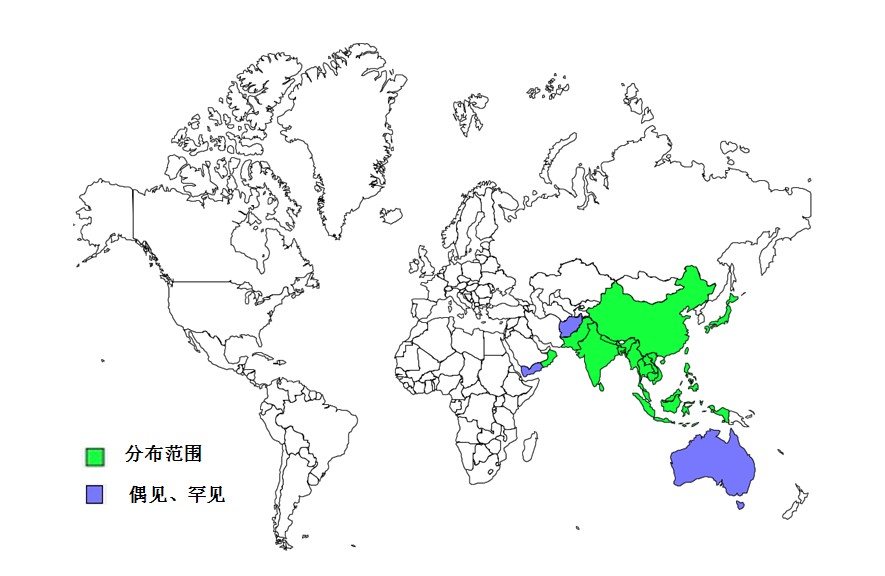 水雉世界分布圖