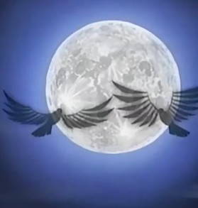 月光鳥
