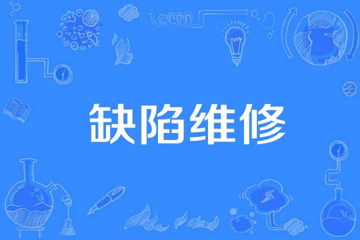 缺陷維修 缺陷維修