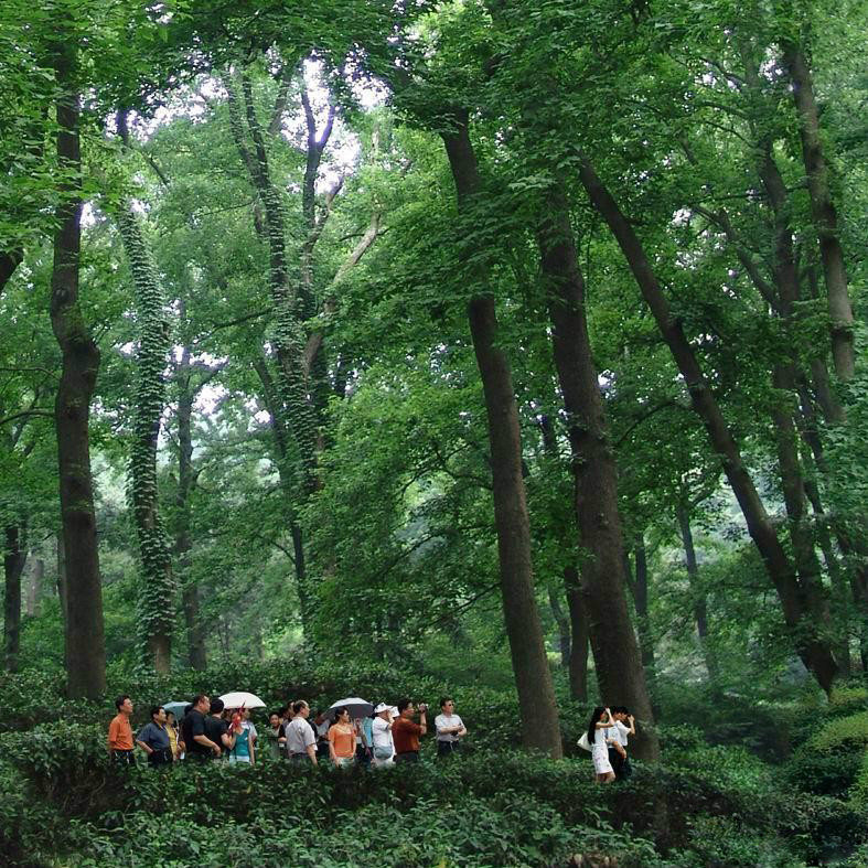 南京老山國家森林公園