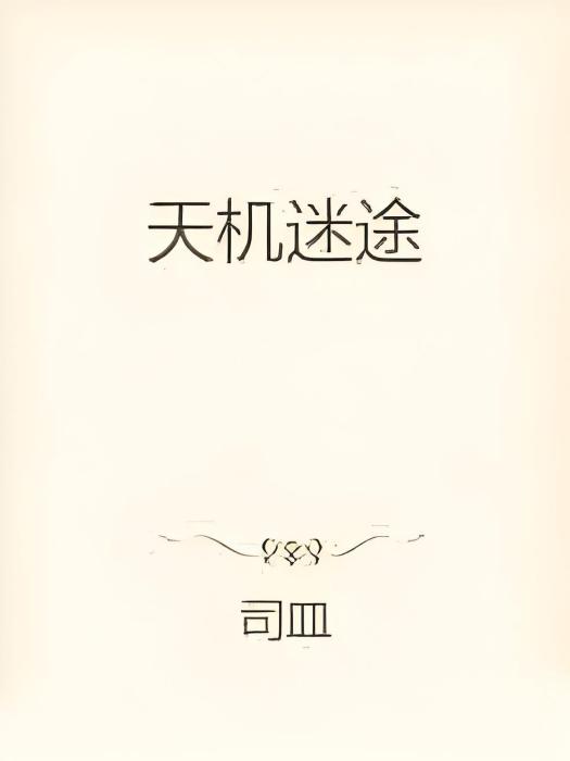 天機迷途 天機迷途