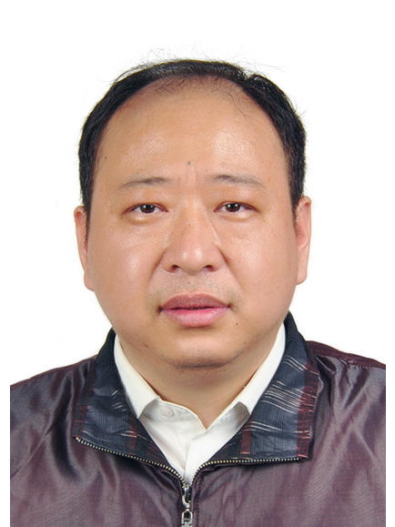 陳宏偉(湖北省鹹寧市嘉魚縣政府副縣長) 陳宏偉(湖北省鹹寧市嘉魚縣政府副縣長)