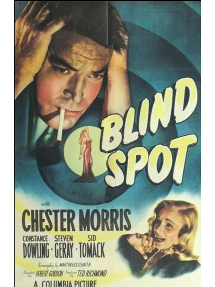 Blind Spot(美國1947年Robert Gordon執導的電影) Blind Spot(美國1947年Robert Gordon執導的電影)