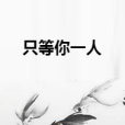 只等你一人(橫縱天穹所著小說) 只等你一人(橫縱天穹所著小說)