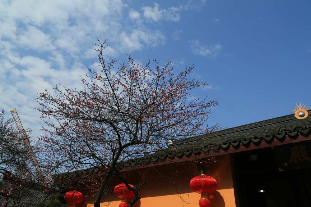 鐵佛寺(浙江湖州寺廟)