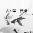 鄉村第一贅婿 鄉村第一贅婿