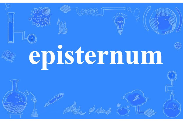 episternum episternum