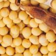 大豆風波 大豆風波