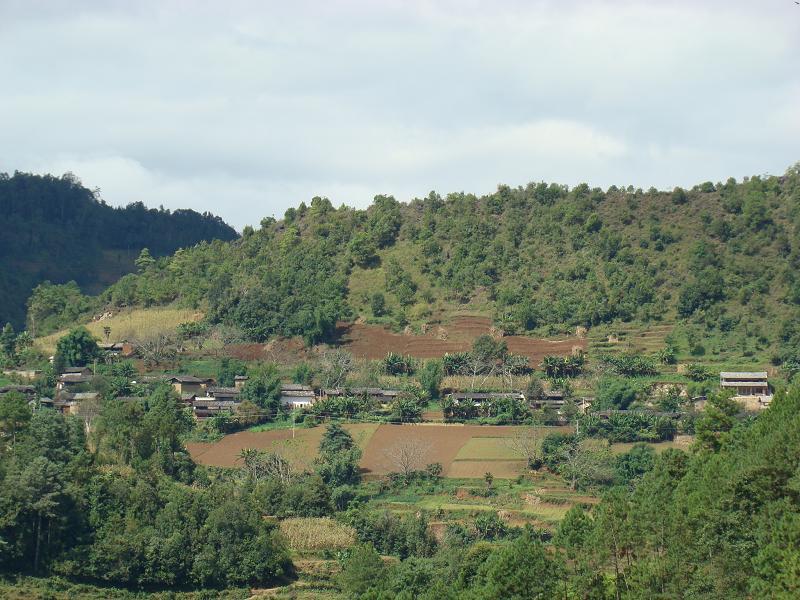 決葉壩村 決葉壩村