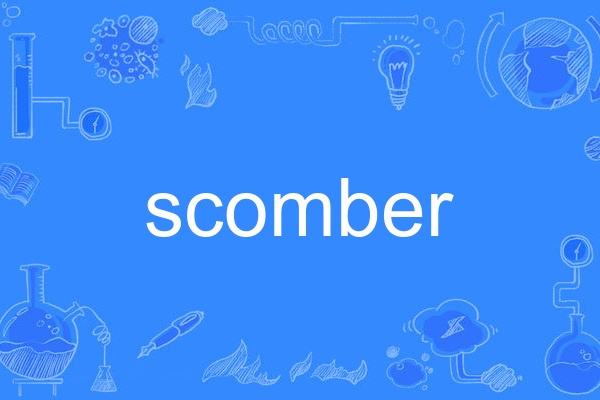 scomber scomber