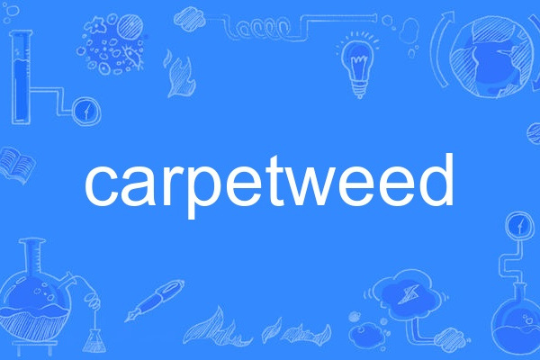 carpetweed carpetweed
