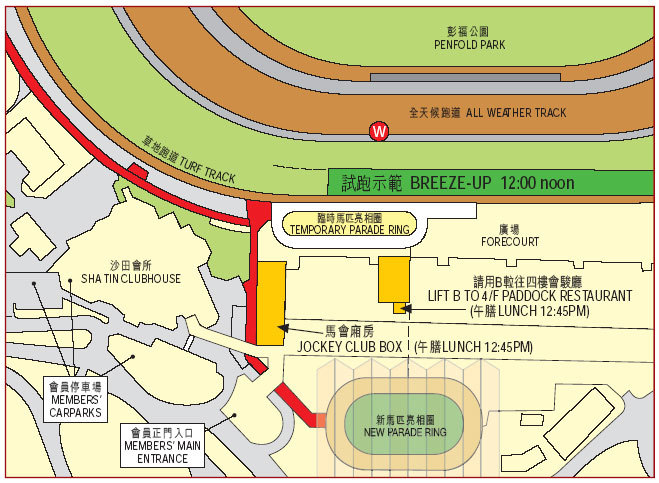 香港國際馬匹拍賣會