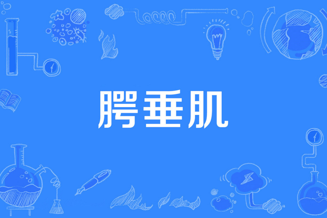 齶垂肌 齶垂肌