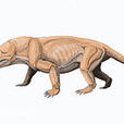 獸頭類 獸頭類