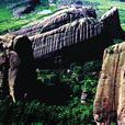 大松山村(雲南宣威市文興鄉下轄村) 大松山村(雲南宣威市文興鄉下轄村)