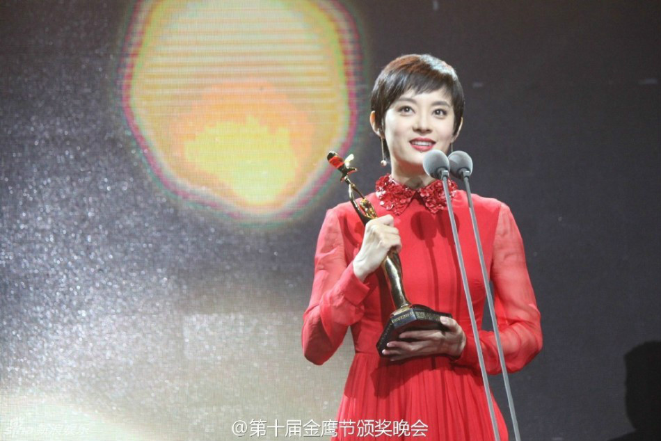 第27屆中國電視金鷹獎