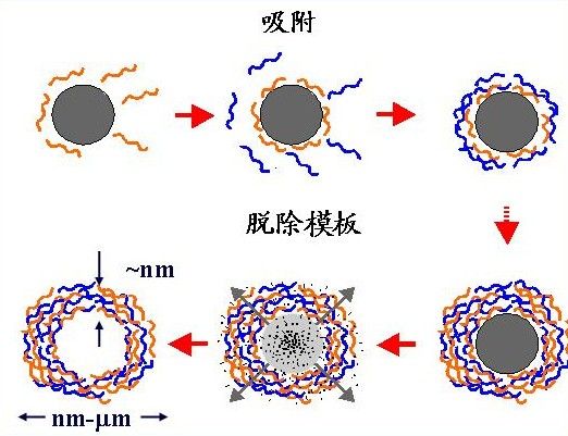 分子包埋法 分子包埋法