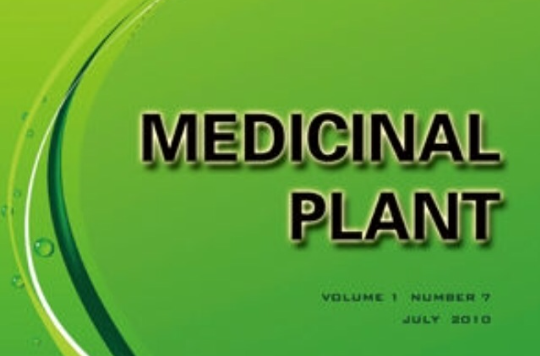 藥用植物研究MedicinalPlant