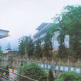 石灘鄉(四川南江縣石灘鄉) 石灘鄉(四川南江縣石灘鄉)