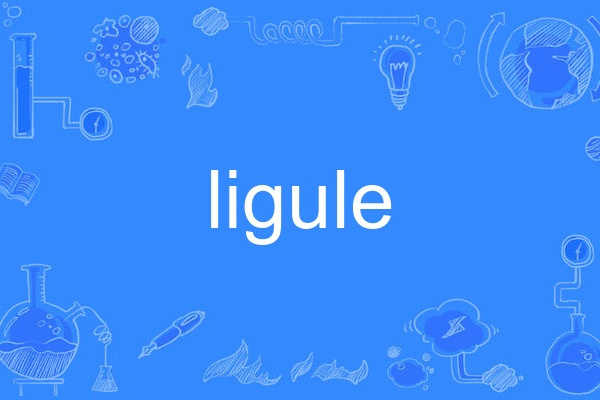 ligule ligule