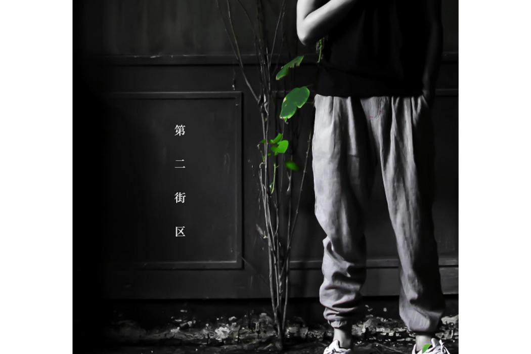 第二街區(2020年葛東琪發行的專輯) 第二街區(2020年葛東琪發行的專輯)