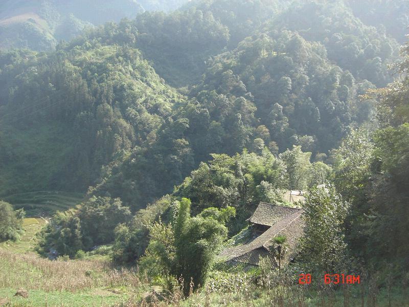 大浩村 大浩村
