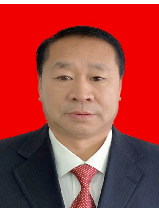 張保有 張保有