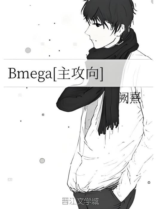 Bmega[主攻向]