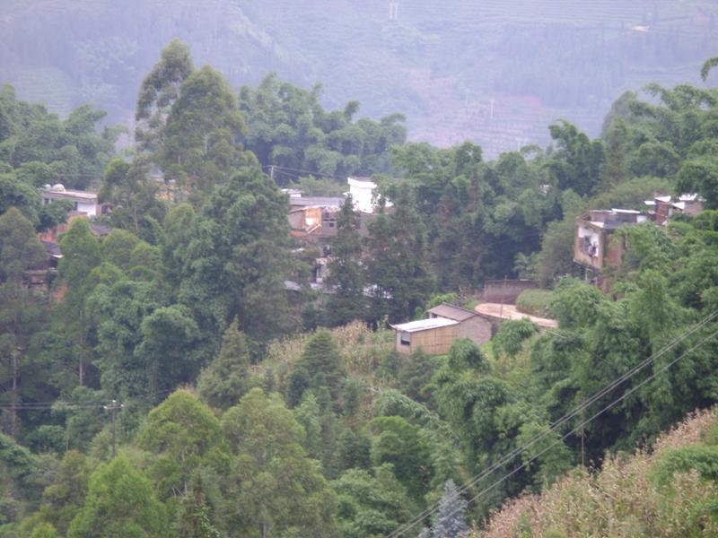 岔弄上寨村 岔弄上寨村