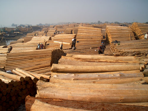 劉渡木材市場