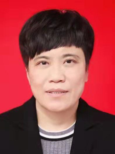 李爽(河南省南陽市新野縣委常委、宣傳部部長,縣政府副縣長) 李爽(河南省南陽市新野縣委常委、宣傳部部長,縣政府副縣長)