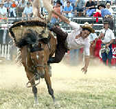 烏拉圭牛仔在馴馬比賽中