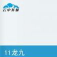 11龍九 11龍九