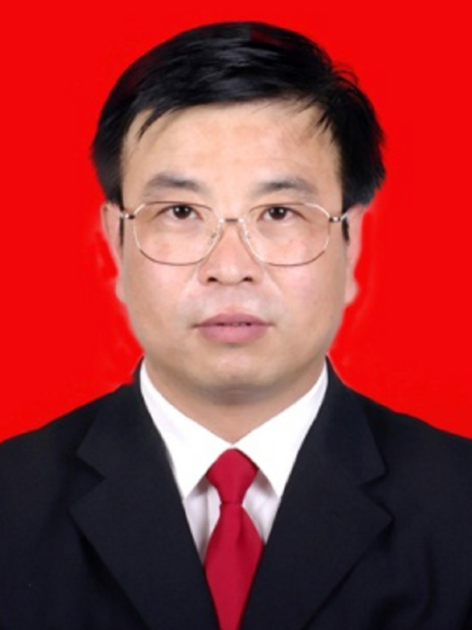 張紅林(陝西省渭南市大荔縣人大常委會主任) 張紅林(陝西省渭南市大荔縣人大常委會主任)