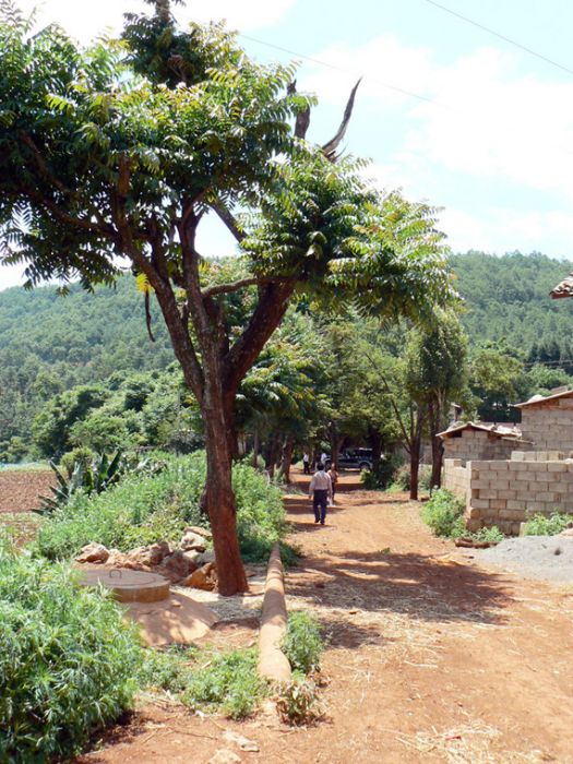 茨塘子村 茨塘子村